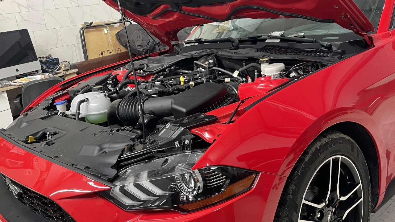 Обслуживание и ремонт Ford Mustang